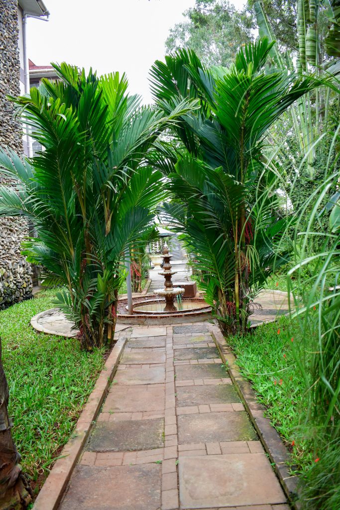 Lawn from Recycled water irrigation at Elite Hostels Rongai Nairobi
